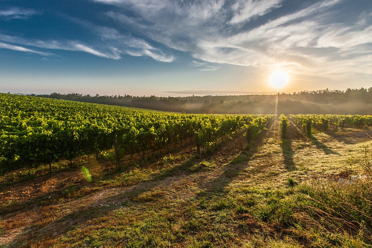 Toscane